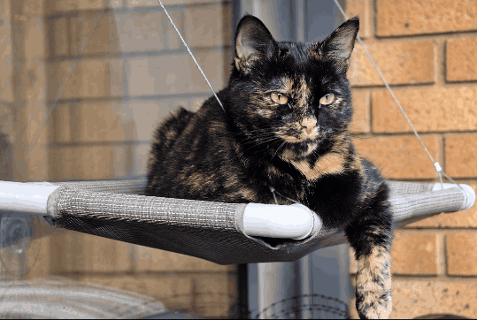 fa61b437ae49c58a0e02ef54286a6ccd2797ec23 THE ASHGABAT TIMES