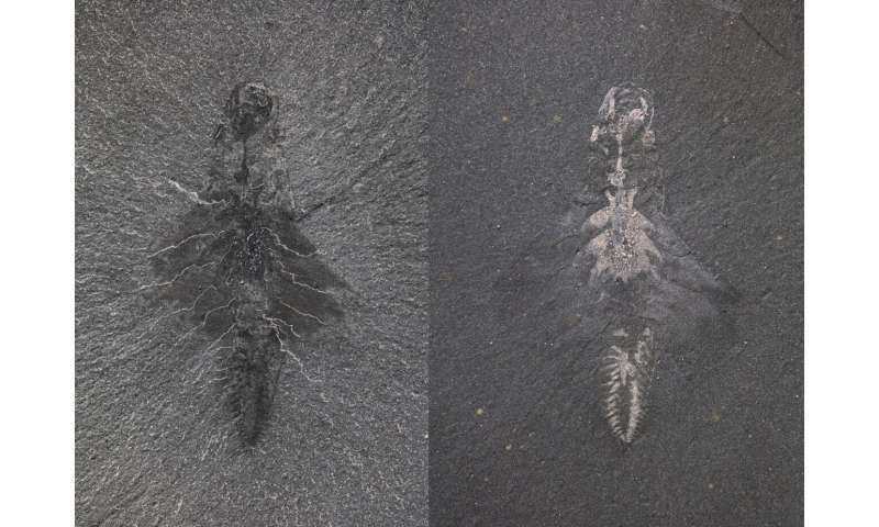 fb75b152e7f38ef091b7956db307eee96be4097f THE ASHGABAT TIMES