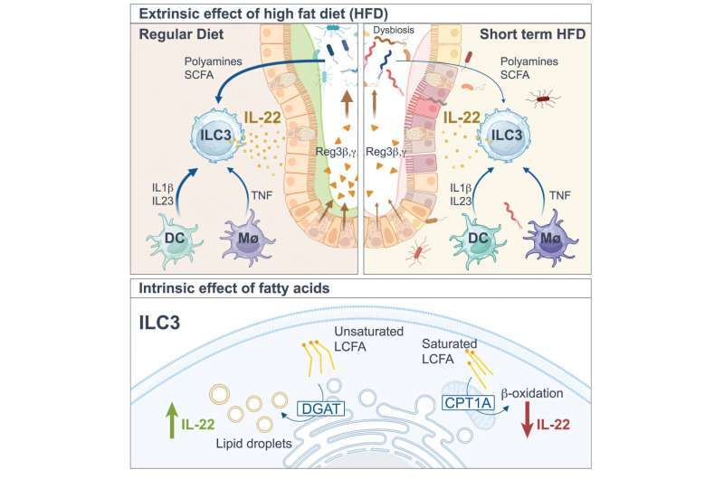 9efb031d1343a6f5d1749bfdf8cf2ee883ad63f7 THE ASHGABAT TIMES
