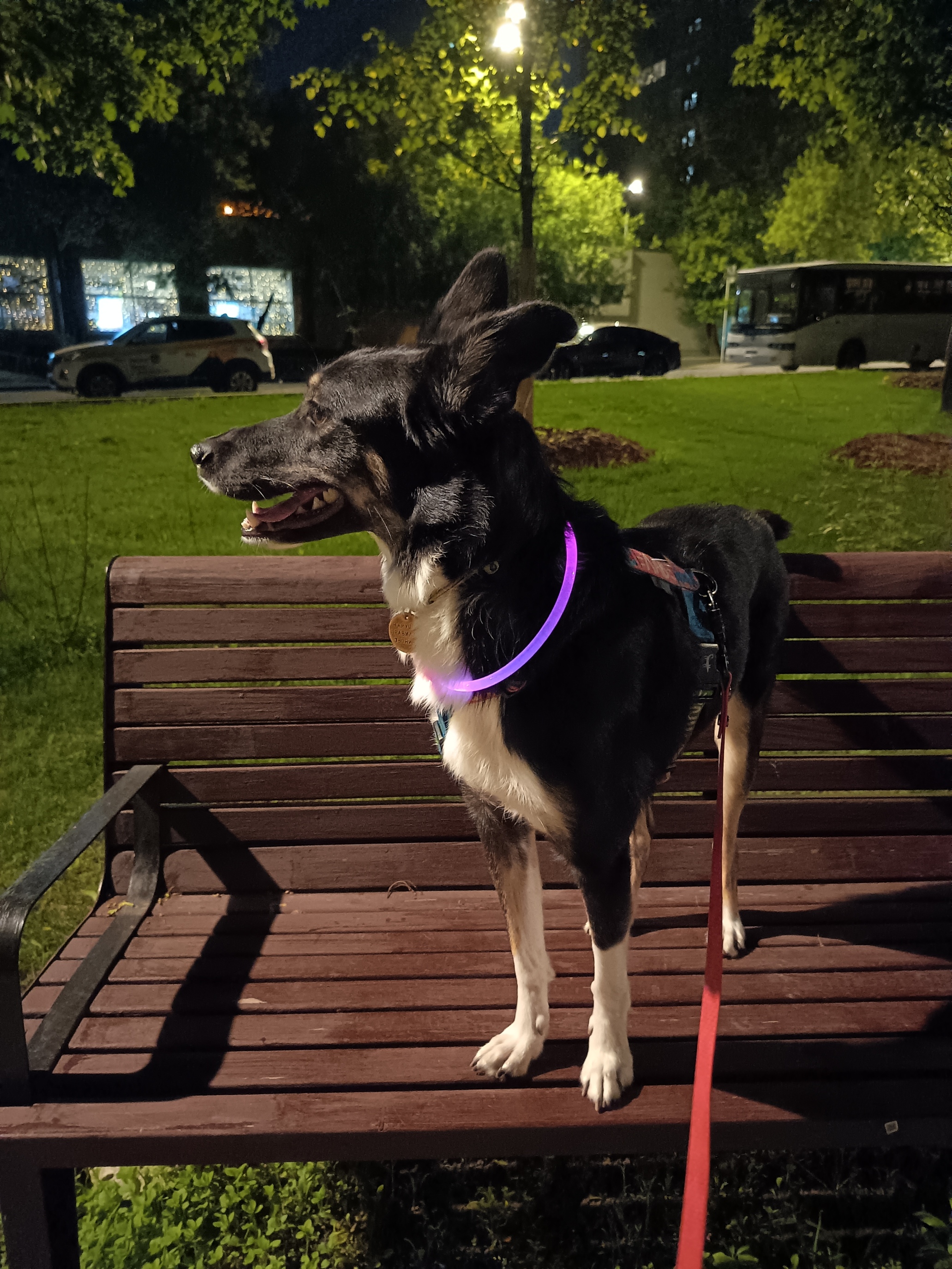 Новый iPhone за 25-30 тысяч рублей вы не купите, но вот его классный аналог на Android 54 85af518fde6421770f8e8795526affc020f91476 THE ASHGABAT TIMES