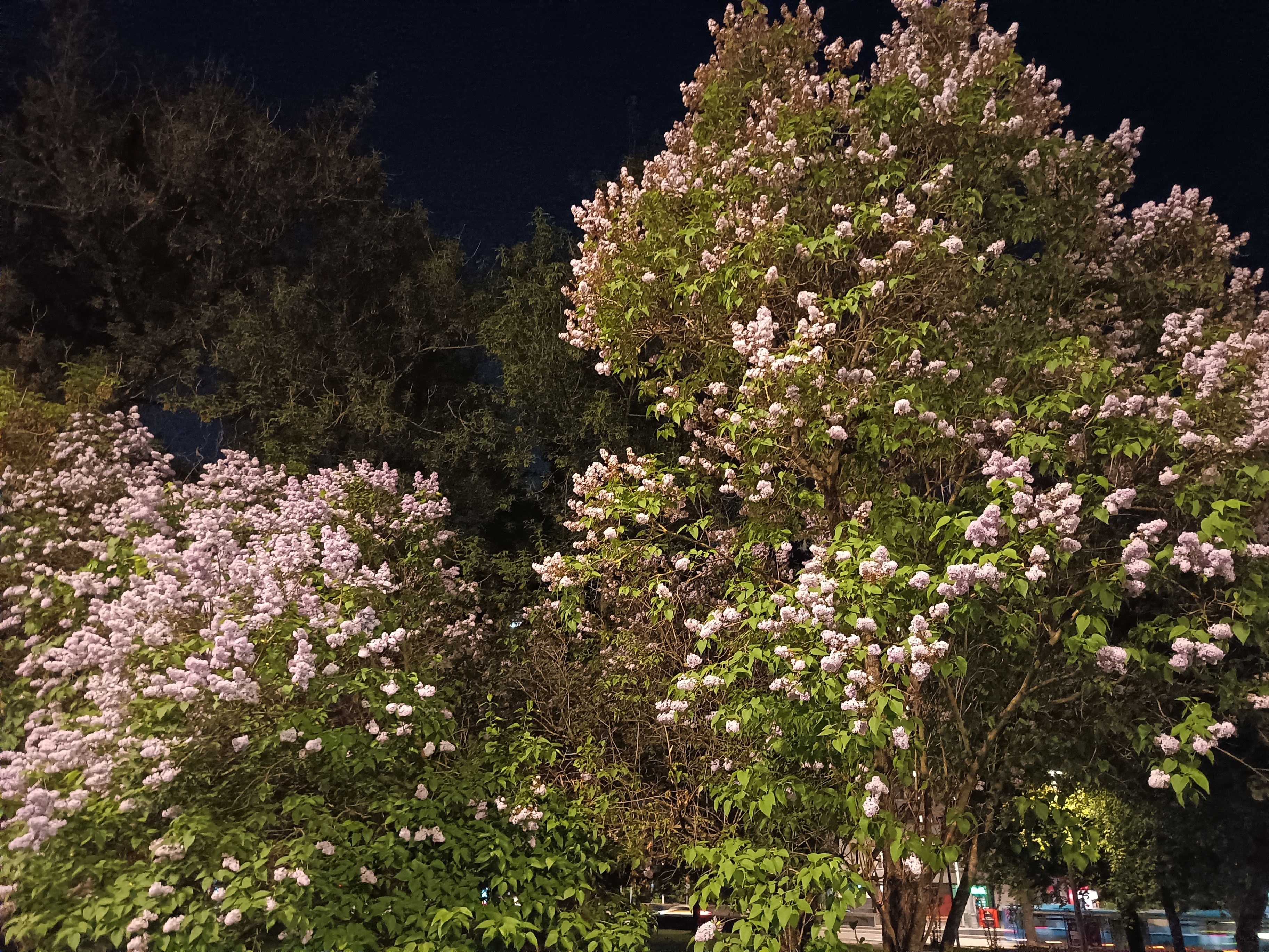 Новый iPhone за 25-30 тысяч рублей вы не купите, но вот его классный аналог на Android 59 8e1da30d8f8472ee8a50f38231c9bae447072471 THE ASHGABAT TIMES