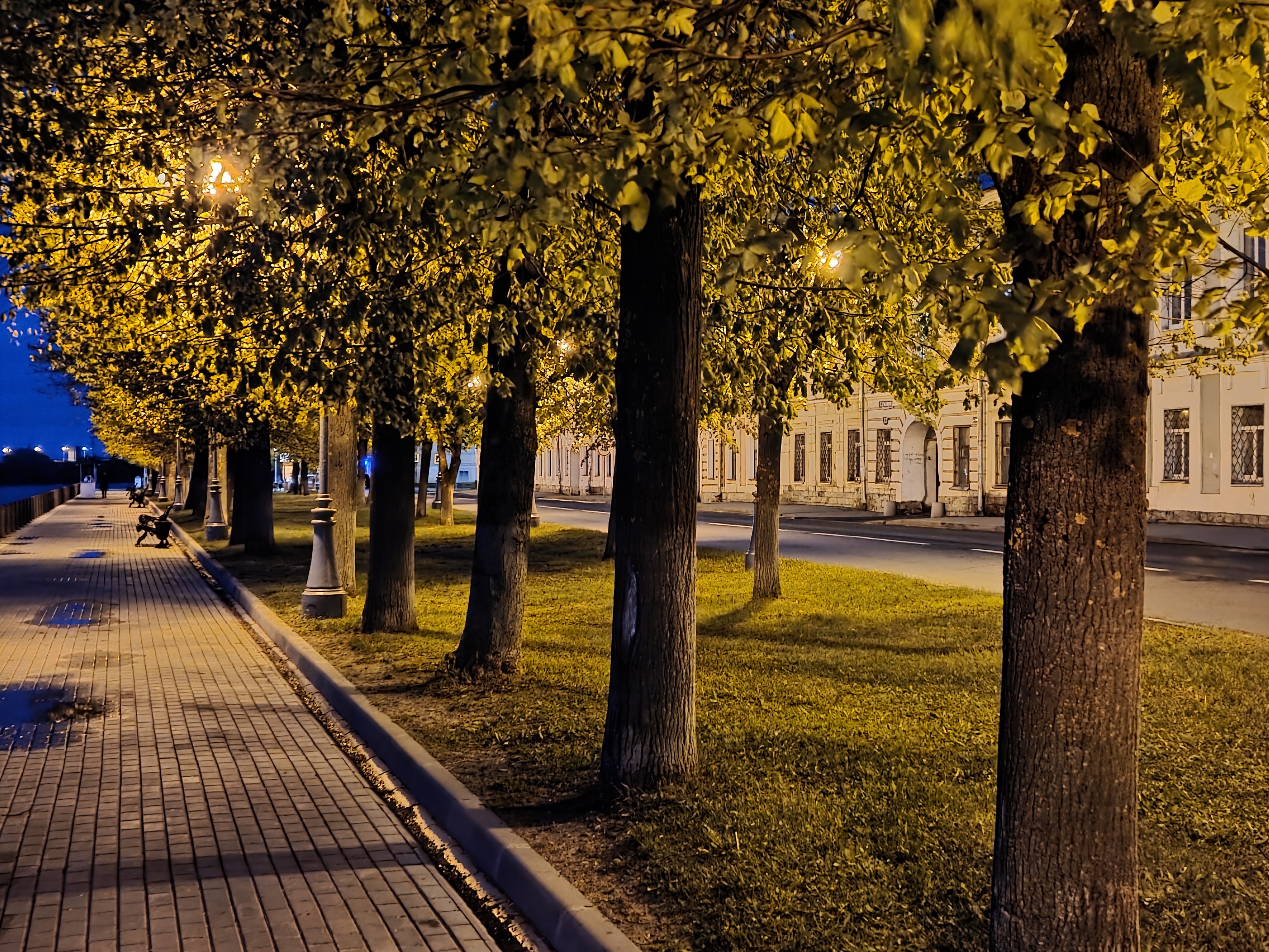 Выглядит как реклама, но нам пoфигy: сравнение Tecno Camon 40 Pro 5G и Samsung Galaxy S25 65 8a01f3f99d4b44bf1fe22b04c3f86b98084ddcf6 THE ASHGABAT TIMES