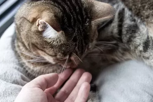 333b3cf3f6782ff40c5ce4cb177e0d6f15ca833c THE ASHGABAT TIMES