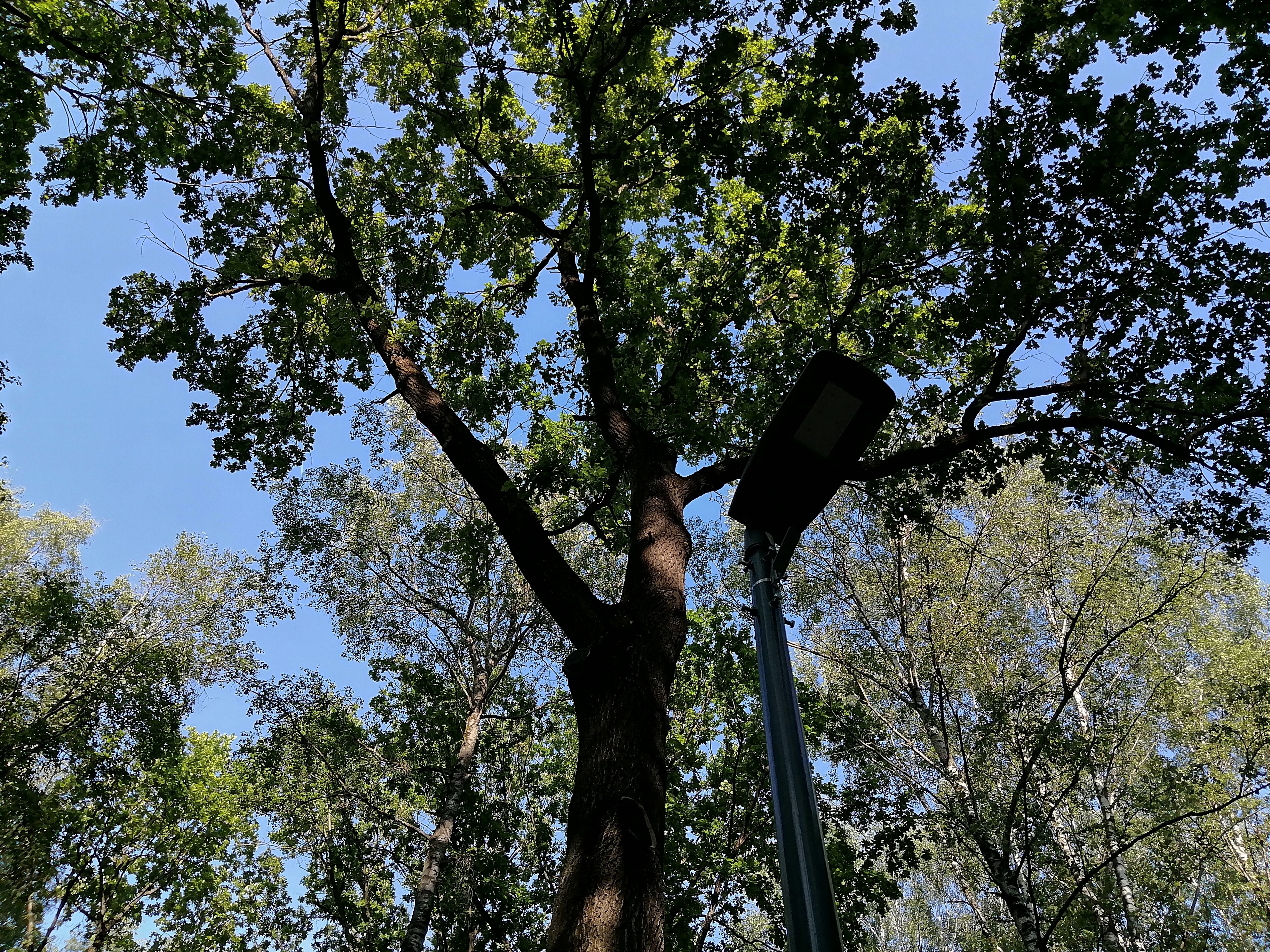 Недорогой супер-выносливый смартфон с быстрой зарядкой: HUAWEI nova Y73 20 40bad8da5633d500c4d44c7509f383da3f1fe468 THE ASHGABAT TIMES