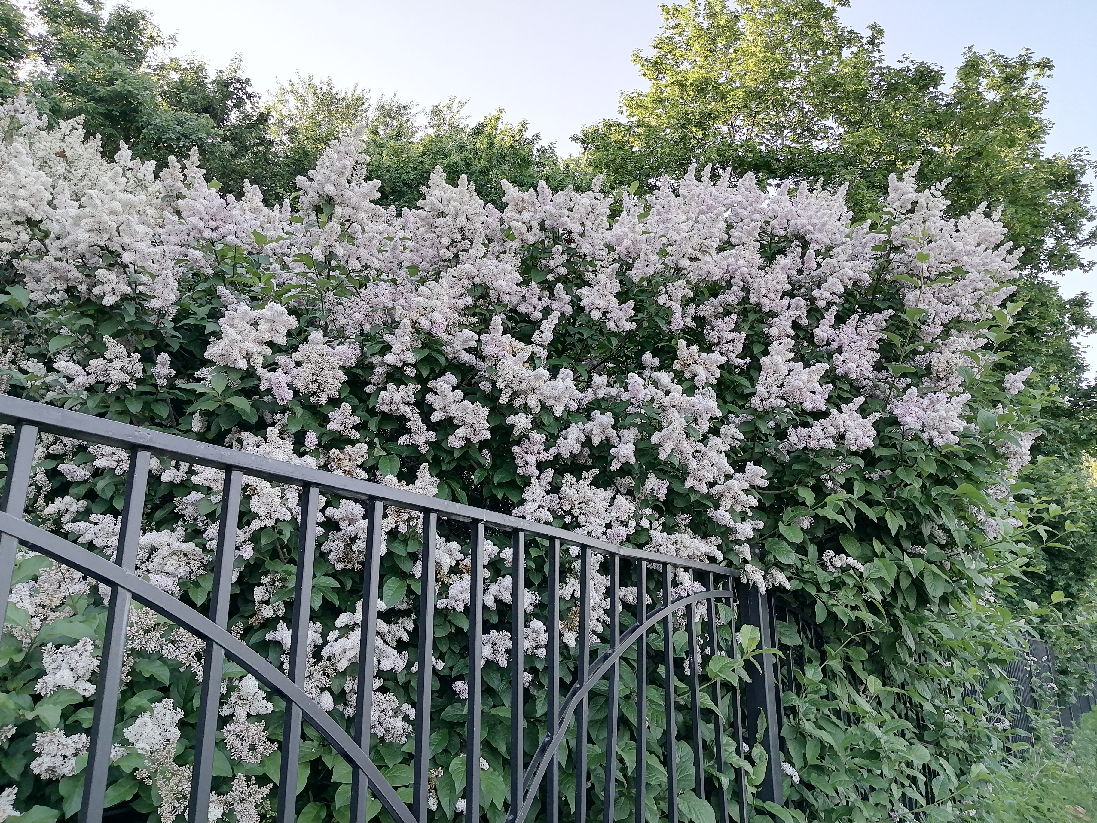 Недорогой супер-выносливый смартфон с быстрой зарядкой: HUAWEI nova Y73 15 f5a53c58456b44e4ea5cce831ecf5c958c17cdb4 THE ASHGABAT TIMES