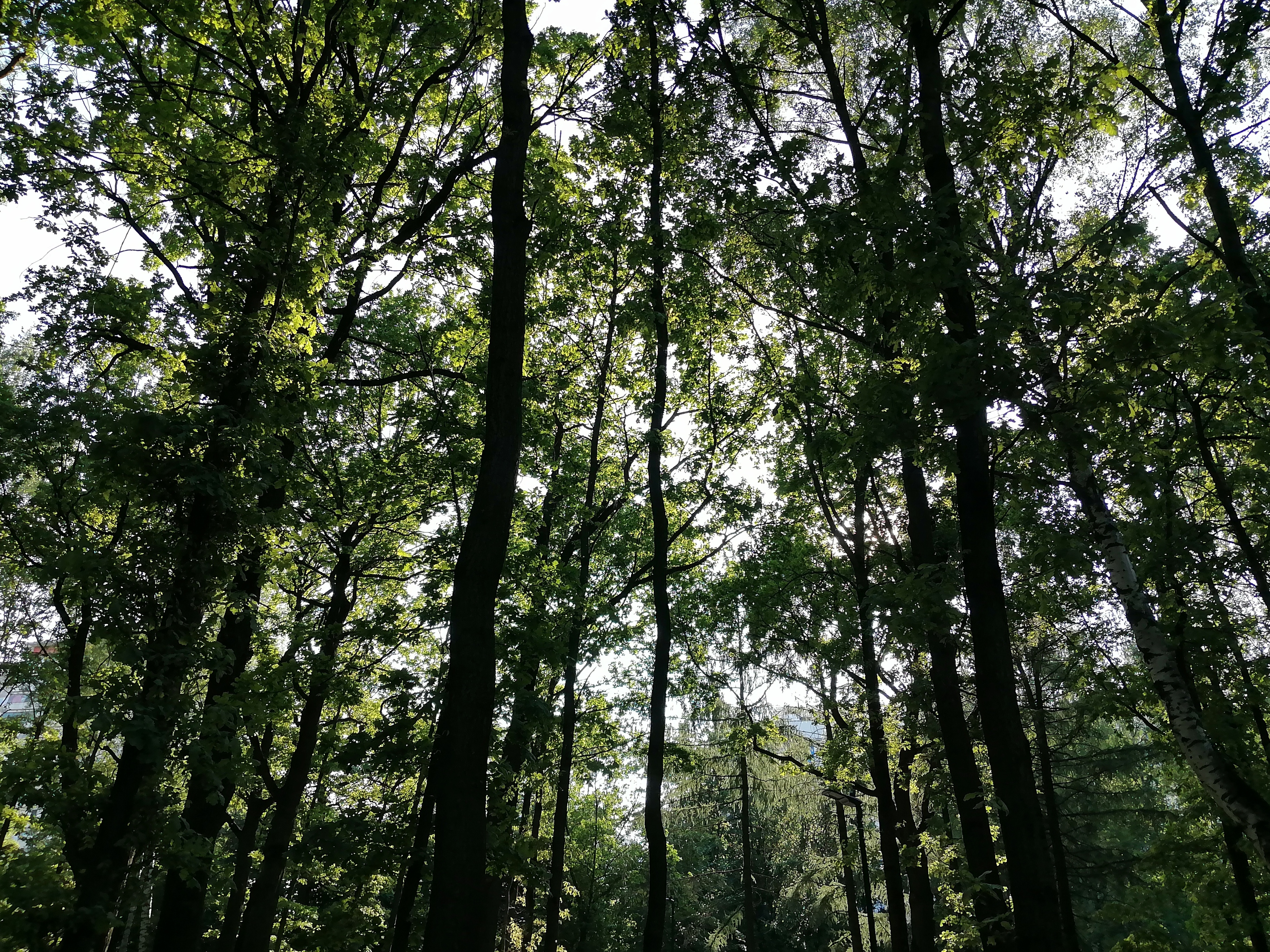 Недорогой супер-выносливый смартфон с быстрой зарядкой: HUAWEI nova Y73 32 c1d36cd81c386e065f68ccd6a943299e2094b6b9 THE ASHGABAT TIMES