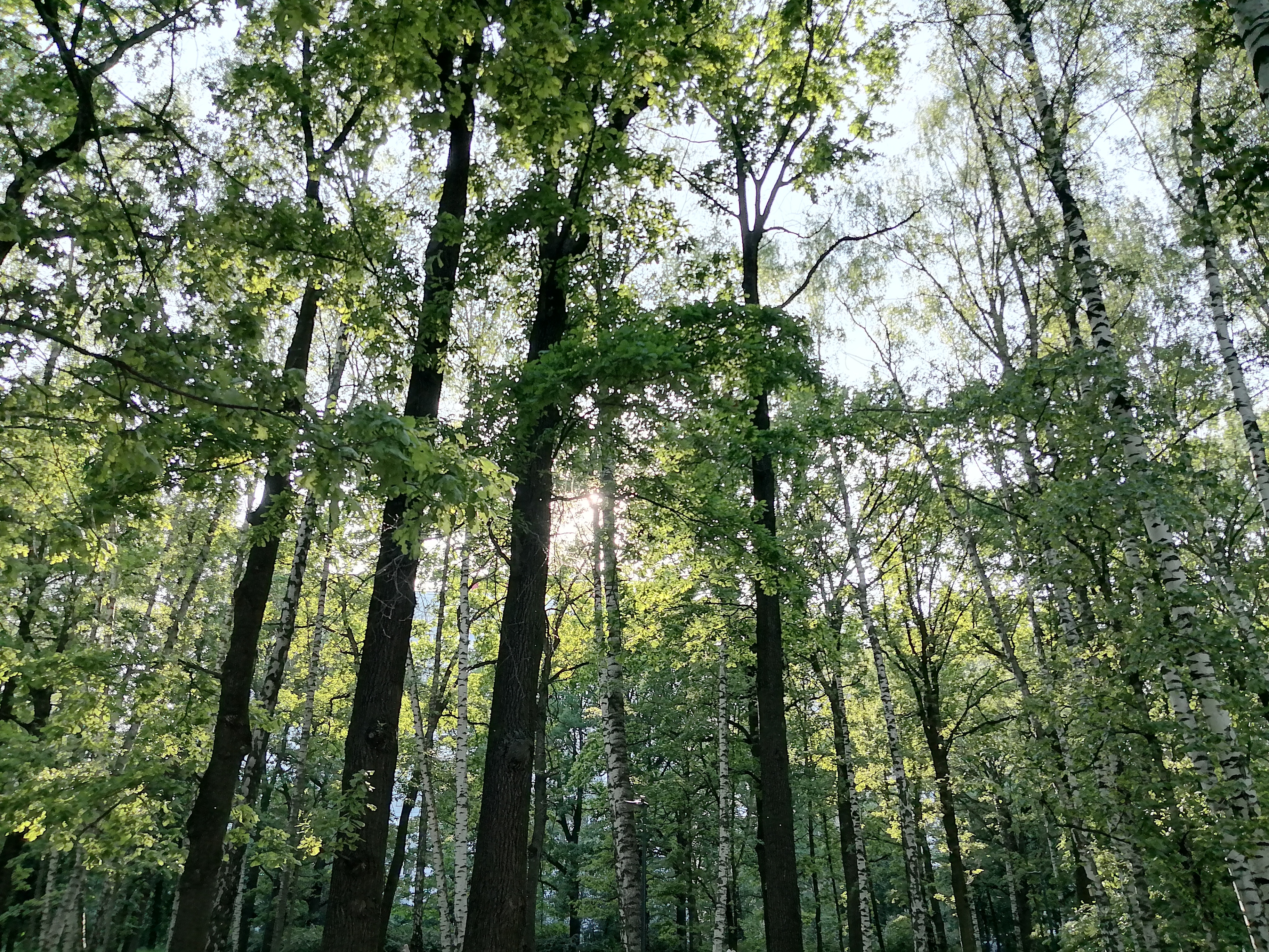 Недорогой супер-выносливый смартфон с быстрой зарядкой: HUAWEI nova Y73 31 651580b9e6cfa70e30f1434c755c477e901e48d9 THE ASHGABAT TIMES