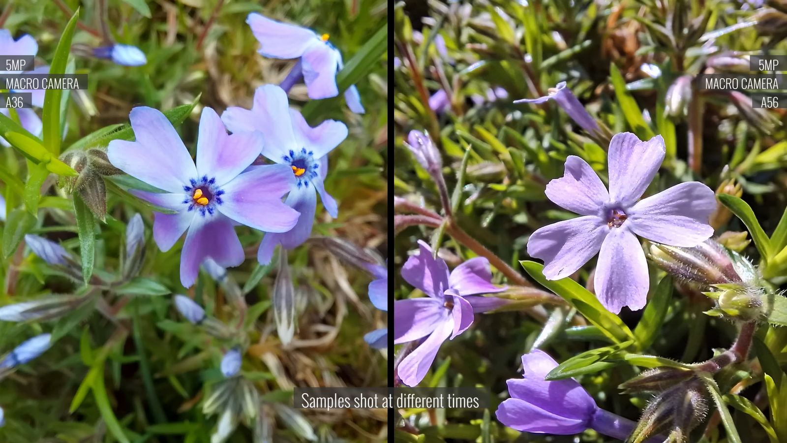 f6ac437b77f10e98b0cdc60e4c770ef46bb89580 THE ASHGABAT TIMES