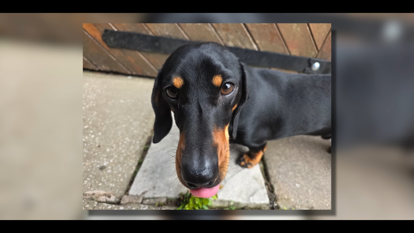 4e9eb1e34b1c7e6920736c6eae81f9e15478d3b8 THE ASHGABAT TIMES