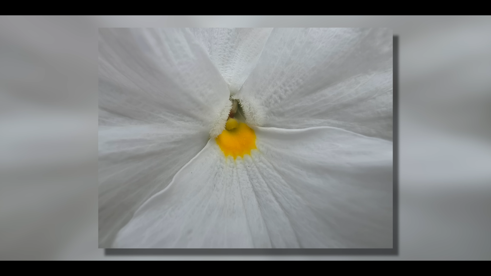 f1fc890decc7941fd7af699f8694fb177d07a1bc THE ASHGABAT TIMES