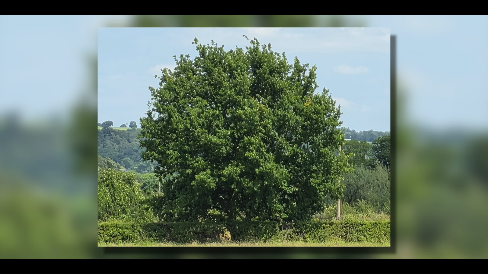0a60bac57c84566f71f544248fa3f60aed3edd8d THE ASHGABAT TIMES