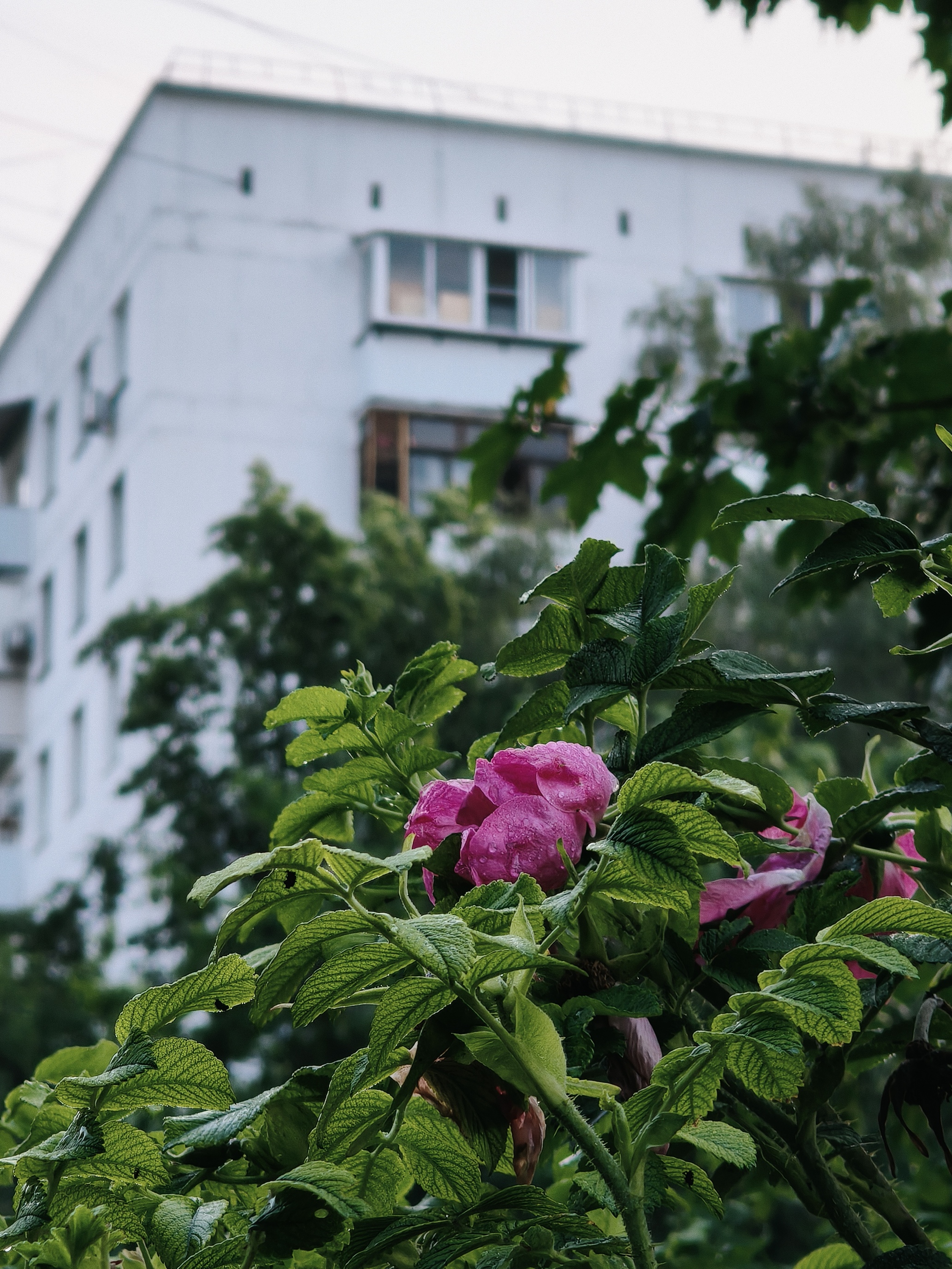 Китайская мощь, британский шарм от Aston Martin: realme GT 7 Dream Edition 27 0f9b32fdf3ba2d5ece7f3770f847a09cb4733159 THE ASHGABAT TIMES