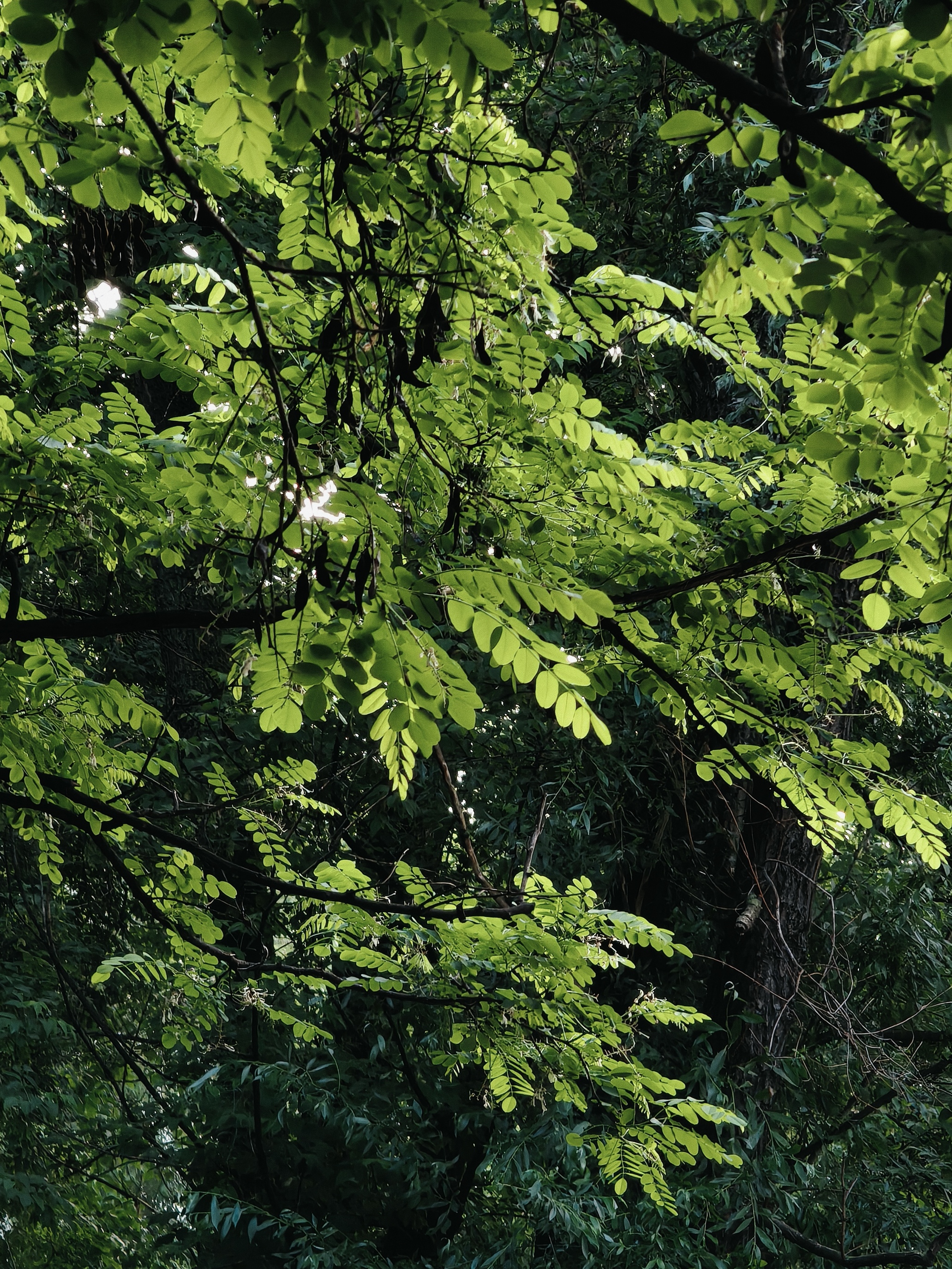 Китайская мощь, британский шарм от Aston Martin: realme GT 7 Dream Edition 25 479b54ab6ffa967fbc81bca91369fb5199bf507f THE ASHGABAT TIMES