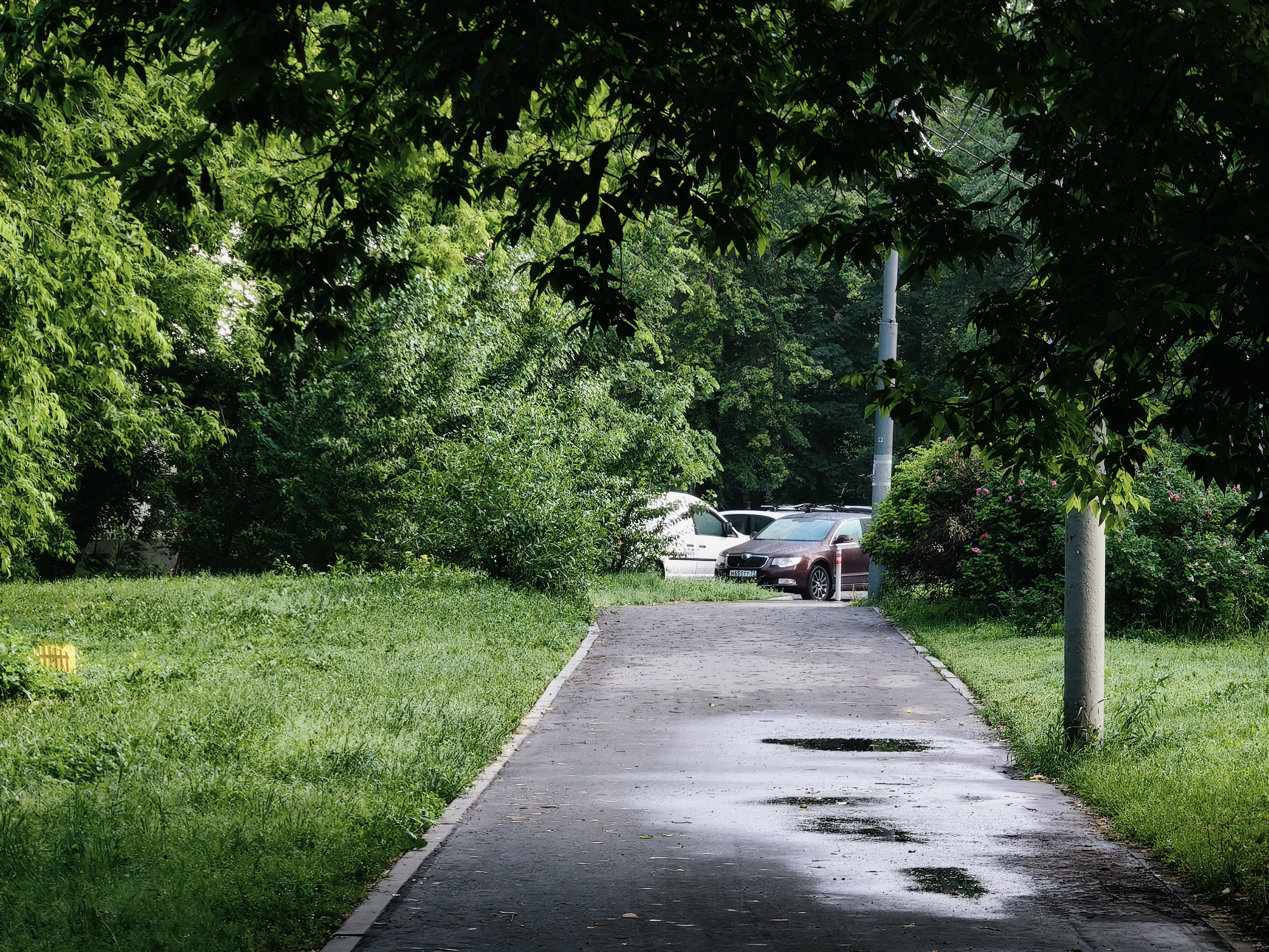 Китайская мощь, британский шарм от Aston Martin: realme GT 7 Dream Edition 29 81bc208f0d9a9bc07443e1a65d0a23b703223c04 THE ASHGABAT TIMES