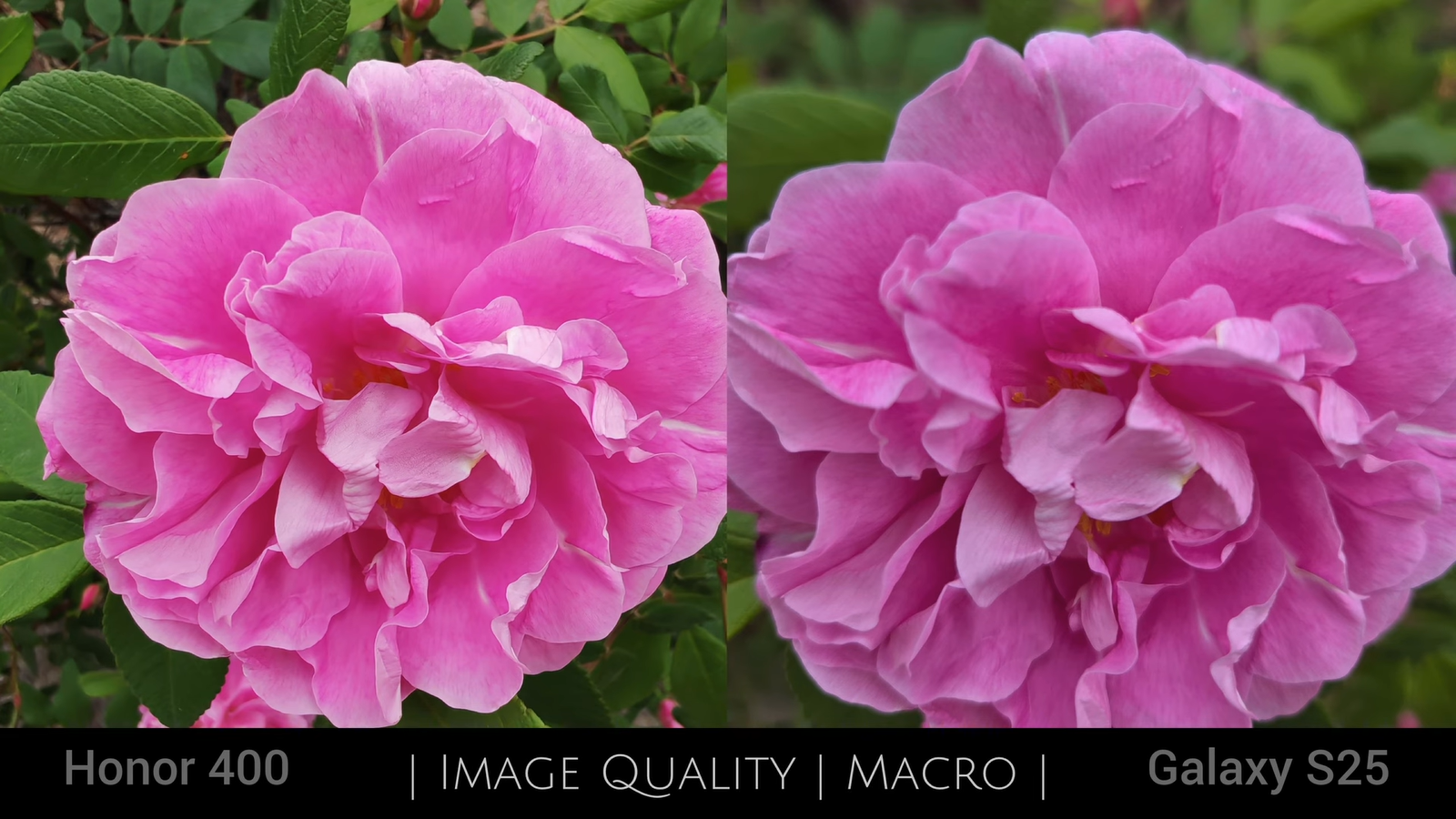 a56c68b293bffd3a7c770f30af7ea9c02433f8f4 THE ASHGABAT TIMES