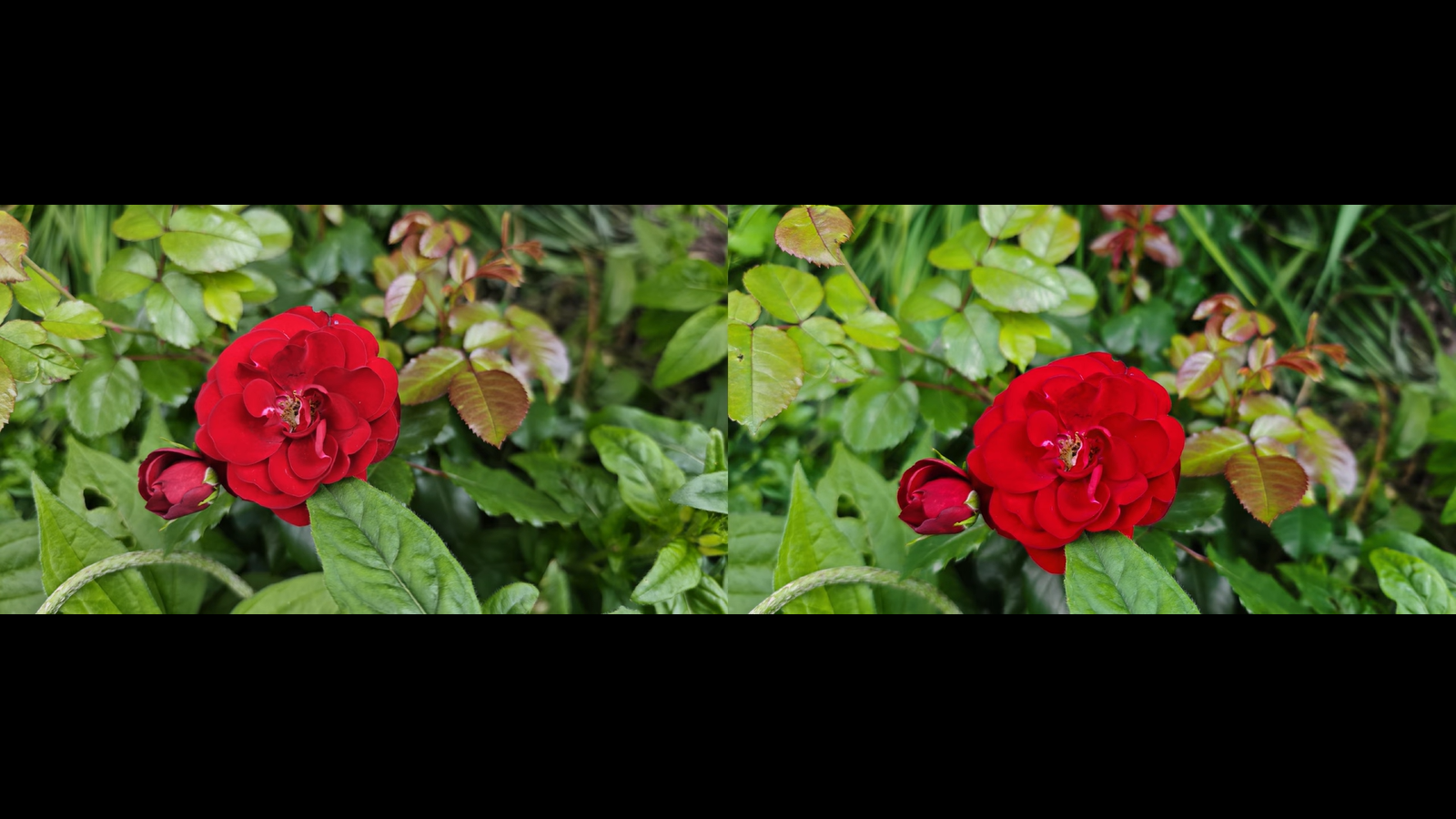 c2e06c05a465895dc01307ed7bd872653a68754f THE ASHGABAT TIMES