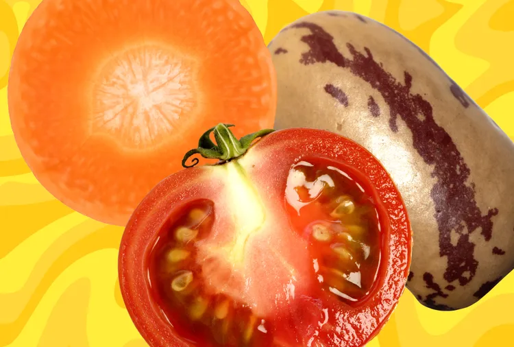 47dde76e87d0856b84c7b709bcc6b99a08b1a43f THE ASHGABAT TIMES