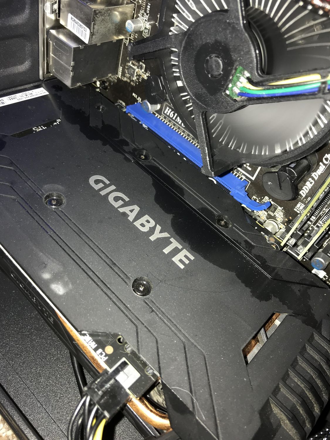 ac4f17434ca0dc48adab9afc9edd906f886baaf0 THE ASHGABAT TIMES