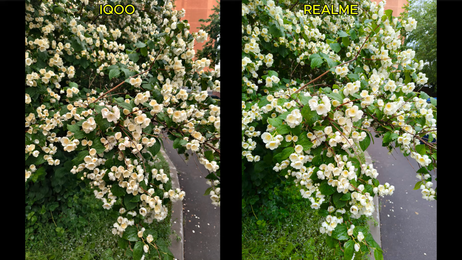 Мощные смартфоны до 30 т.р. с большими аккумуляторами, iQOO Neo 10 и Realme P3 Ultra, сравнили 5 fb49978a94aae44614638dcff6247e590731690d THE ASHGABAT TIMES