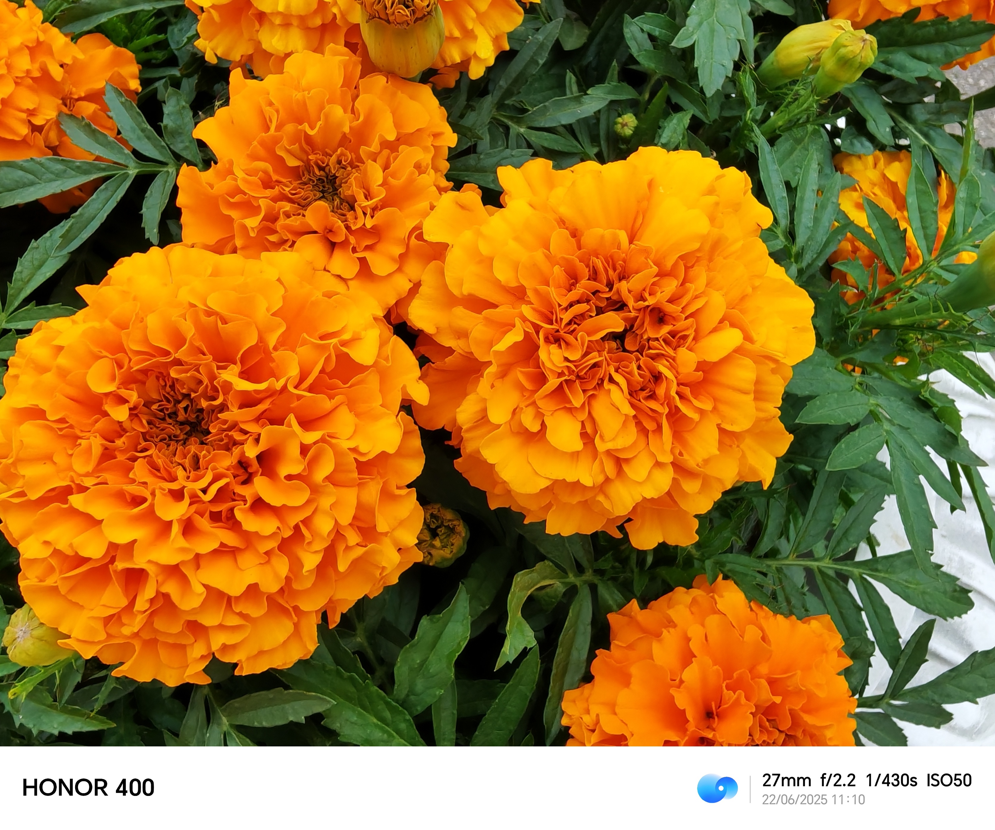 c00faf05a4792fe321f4f9b8053ed01557639191 THE ASHGABAT TIMES