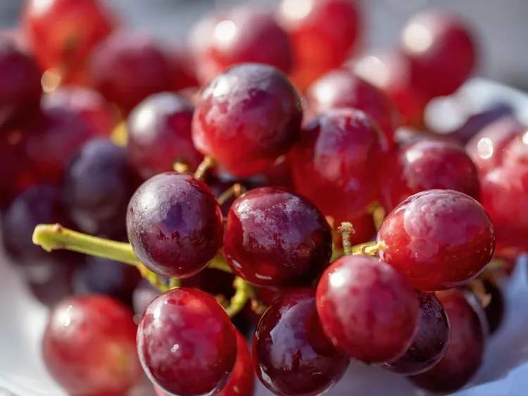 Бананы и другие полезные для здоровья продукты, которые помогут при низком уровне сахара в крови 2 cea2d24a550946121300dce9141d2d293d1a407d THE ASHGABAT TIMES