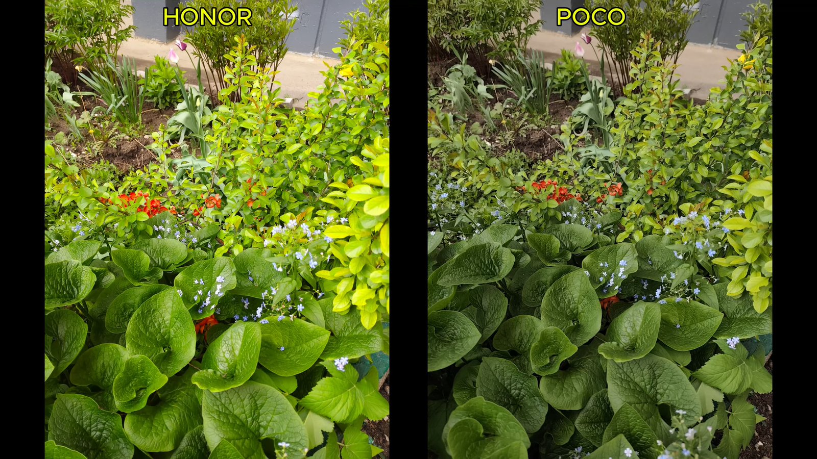 Honor 400 Lite was compared with the POCO M7 Pro 12 6d26d0d0dcba14c8b86cbd7b107c1c57ec6229dd THE ASHGABAT TIMES