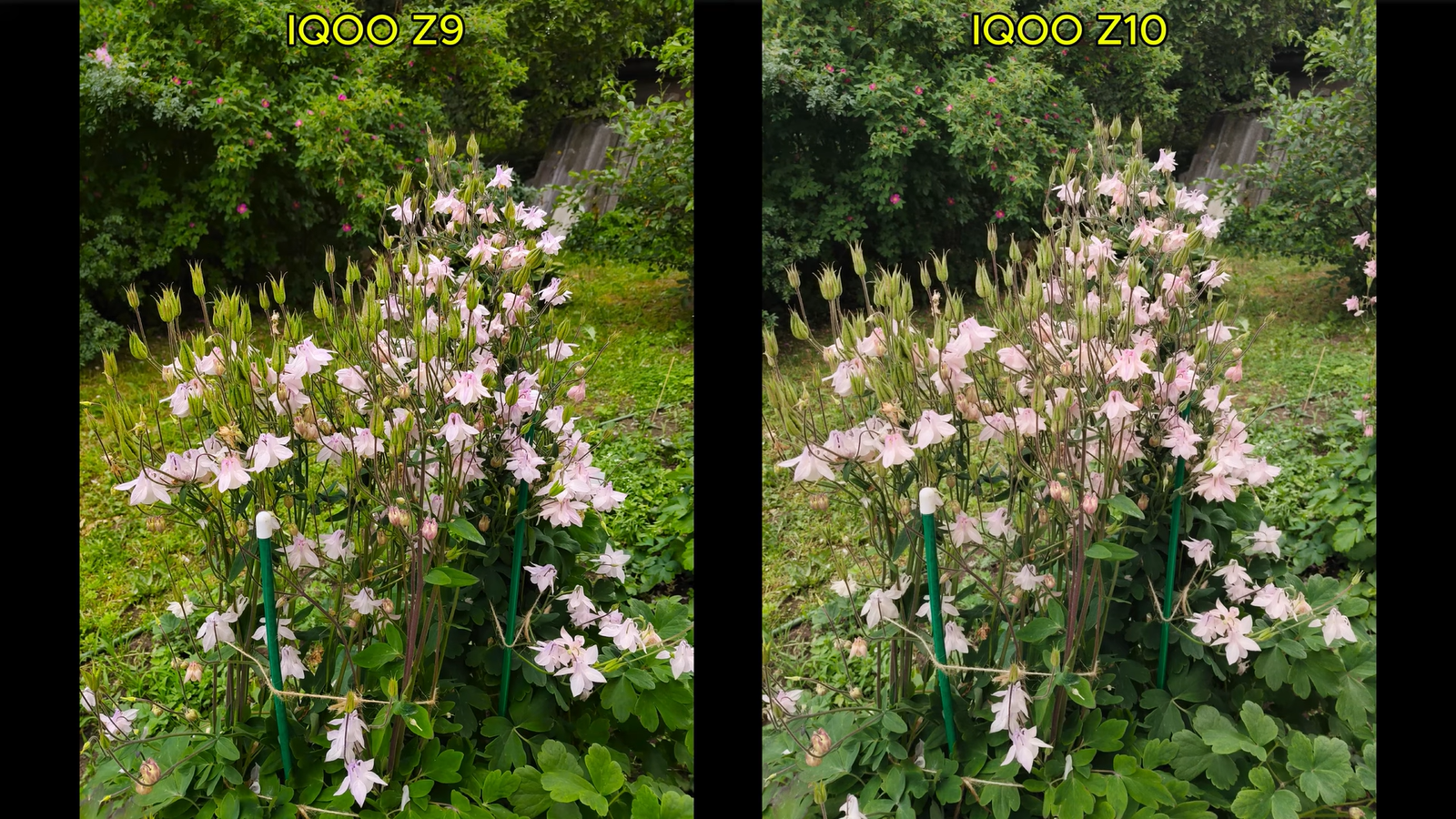 58be52bddacc15ab05e3f1772f71150629d36b8b THE ASHGABAT TIMES