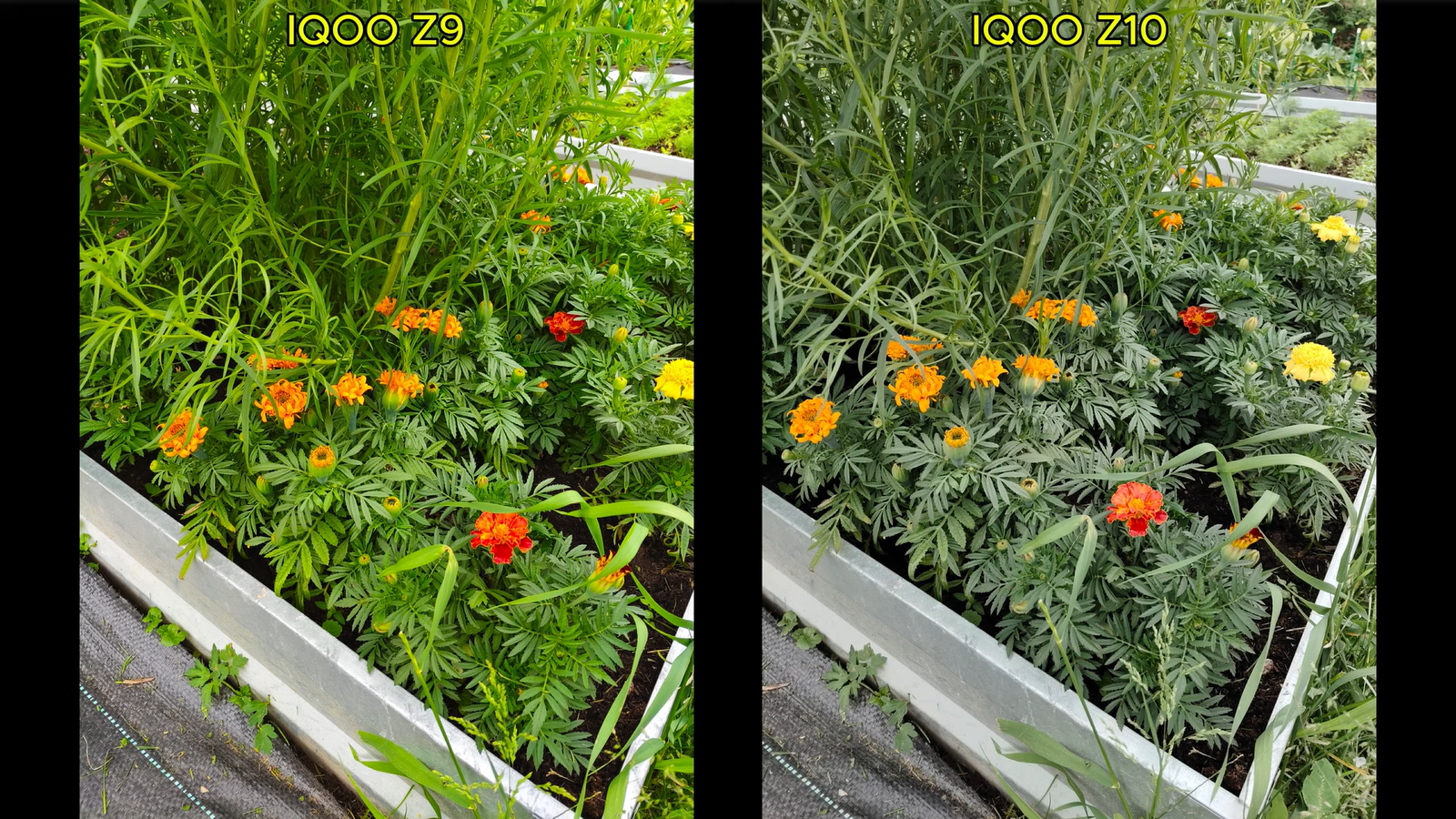 187c935d45a121b37556e1abd3ac2e1fb98c700a THE ASHGABAT TIMES