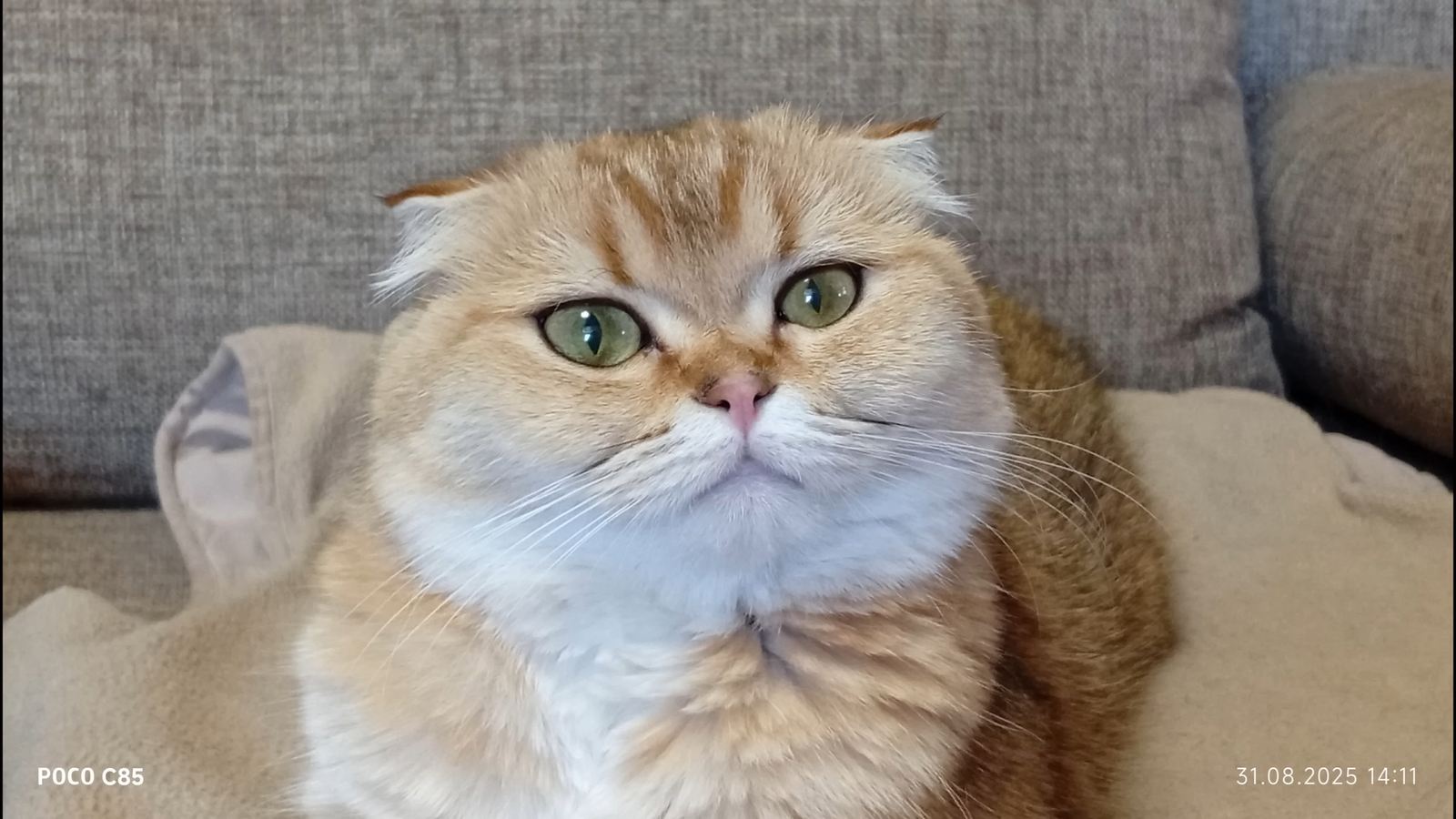 8af0a138f701e07653382427ac824a7a356cf208 THE ASHGABAT TIMES