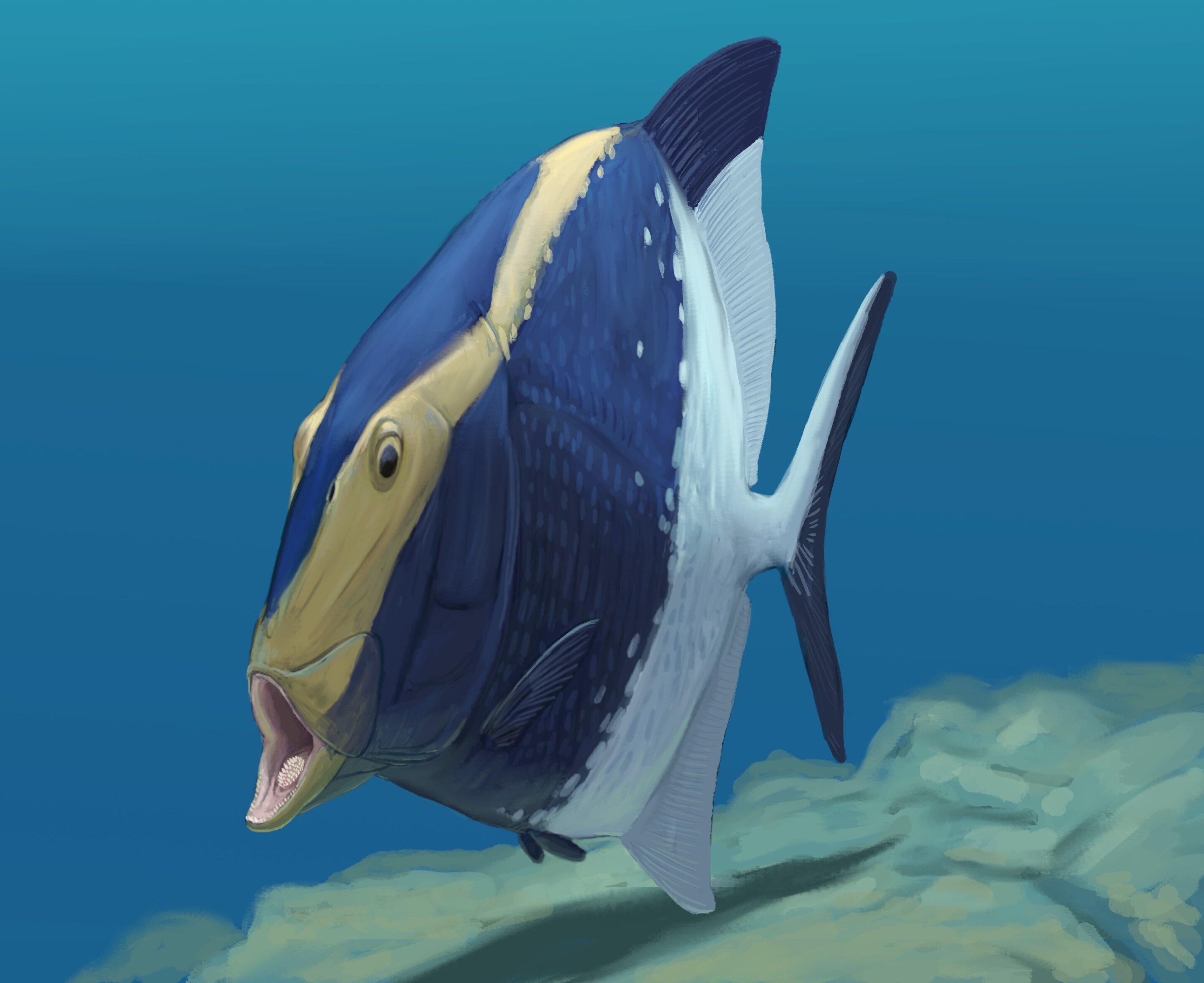 78d32cabad99e4b6a833618e65fedd4c9c98ce5c THE ASHGABAT TIMES