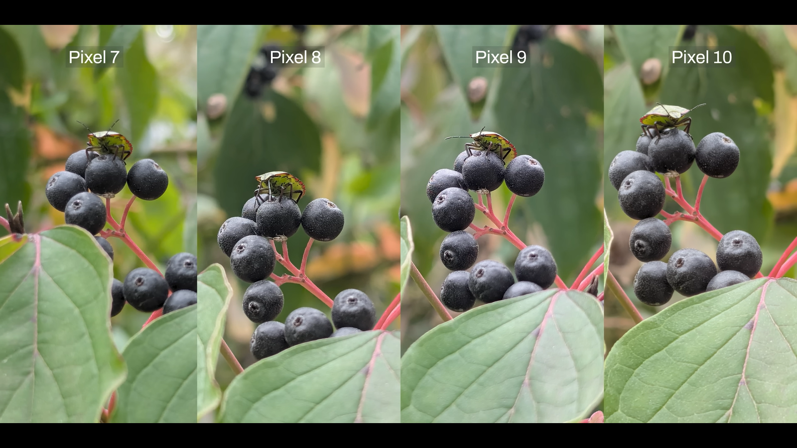 a4d99eebd97c53039a1184ac753844d976f9132d THE ASHGABAT TIMES