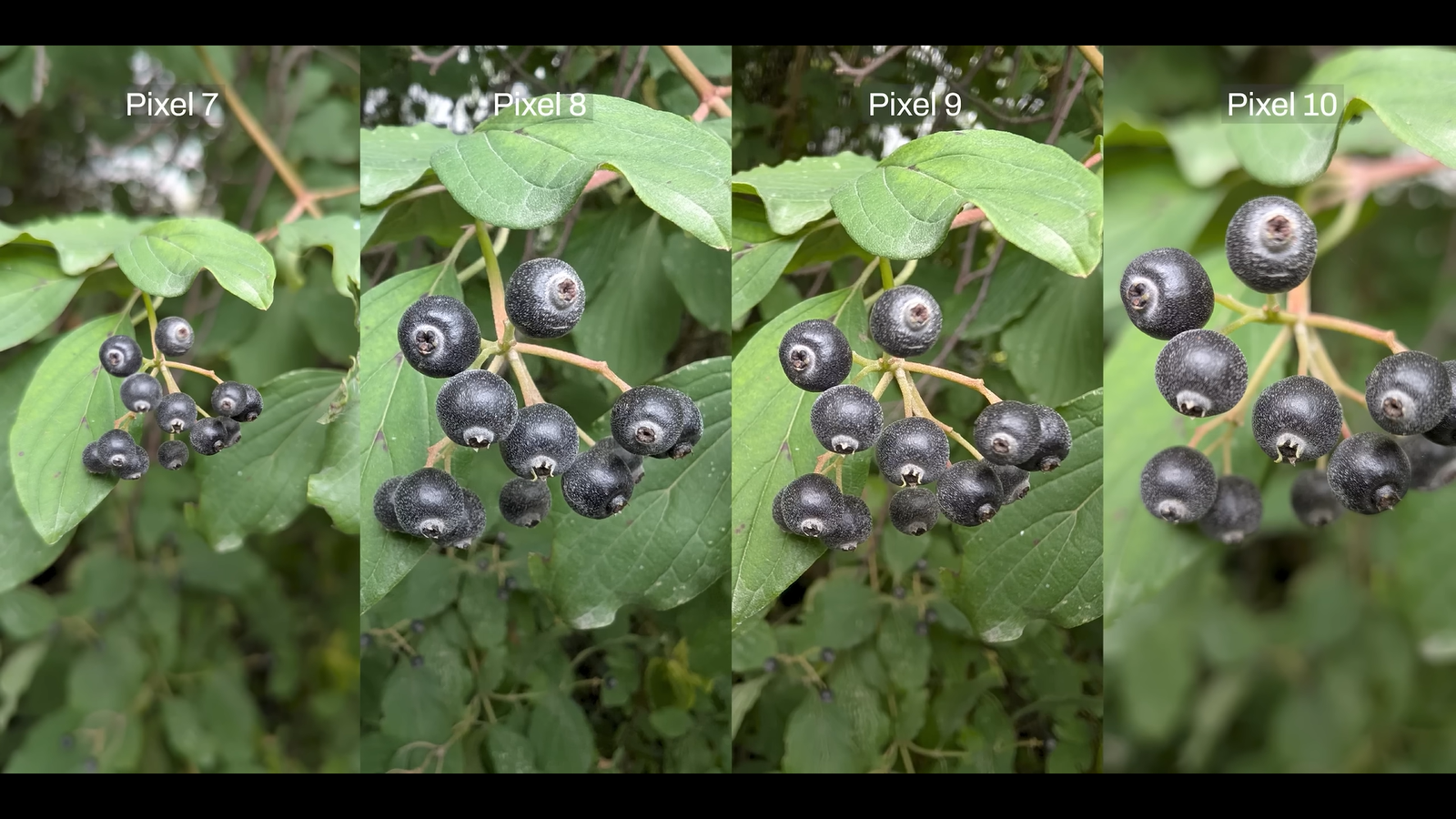 cb1467e028678dd42ffa9f68857c1e34ccbbd69f THE ASHGABAT TIMES