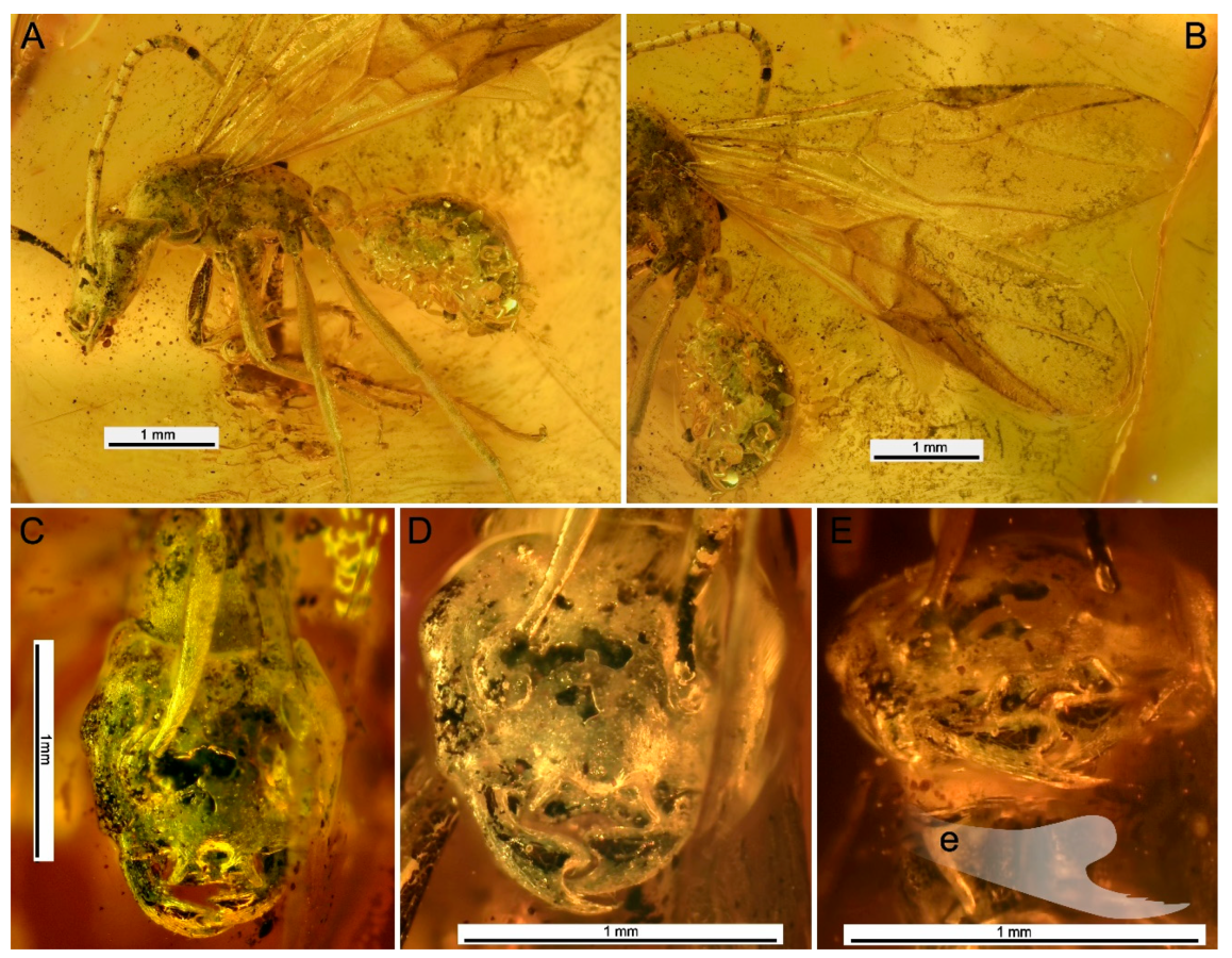 e435df492b0352880002a8f9717a76766c3e34cd THE ASHGABAT TIMES