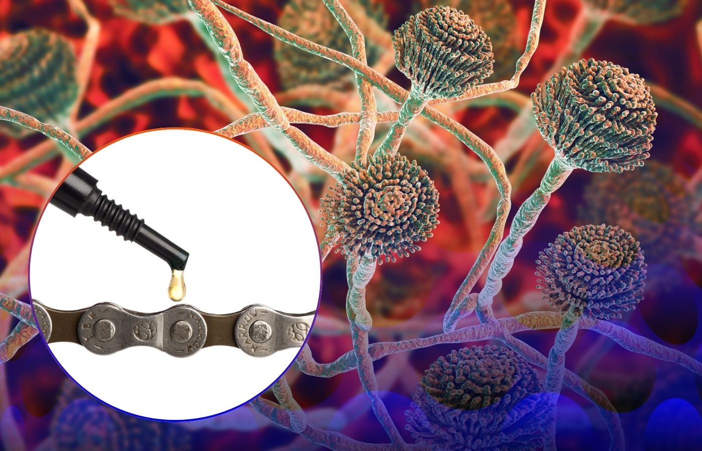 Использование плесневого гриба в машинной смазке улучшило её свойства