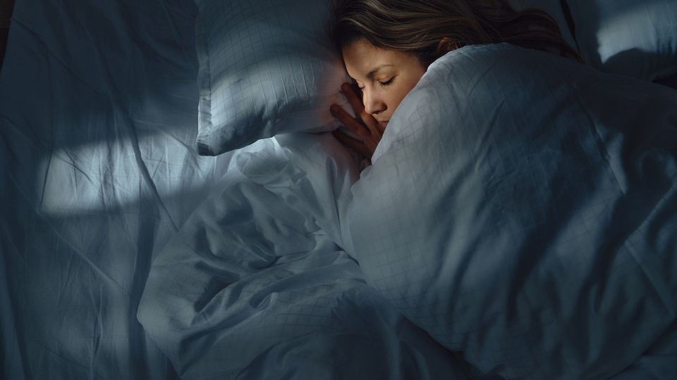 Доказано: бактерии в кишечнике влияют на сон