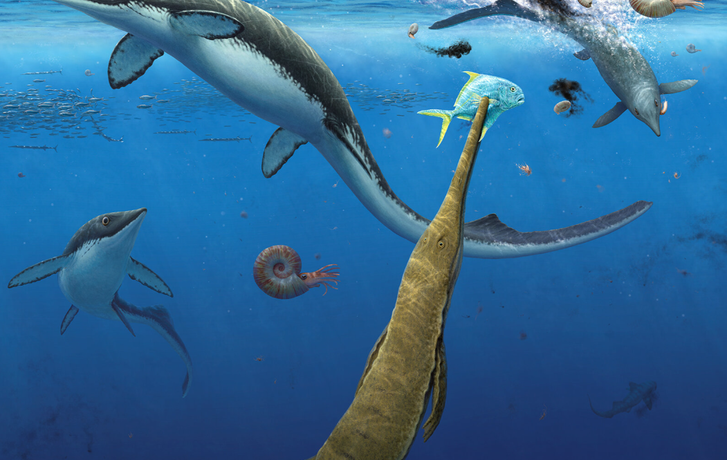 В Арктике нашли древнейшее морское сообщество эпохи динозавров