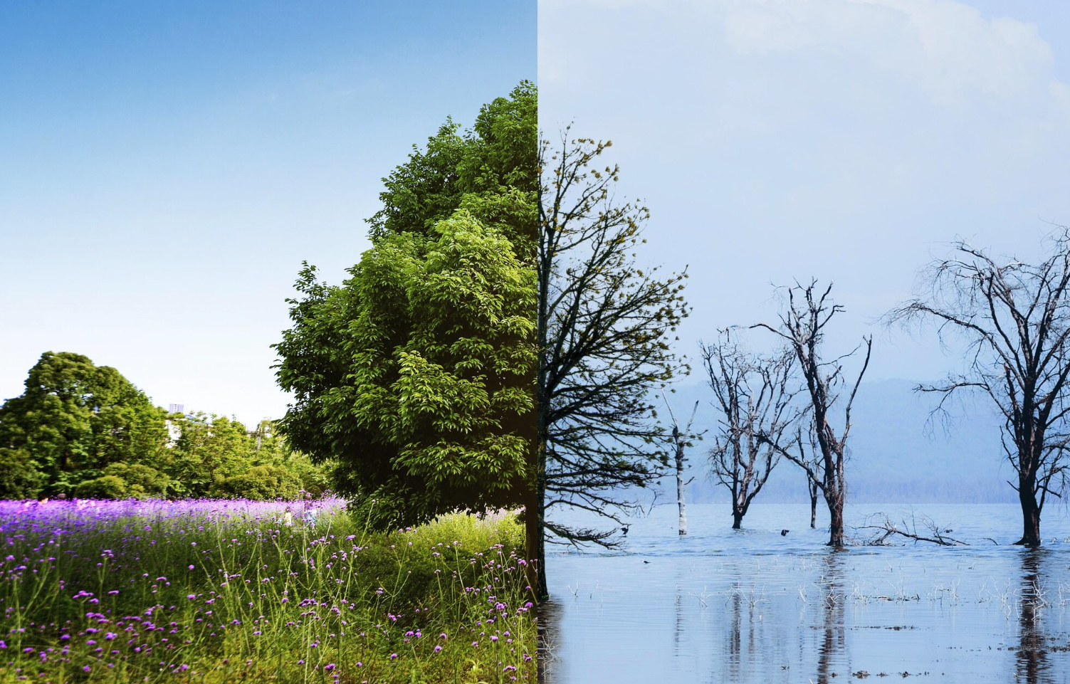 В РФ разработали рекомендации для адаптации регионов к изменению климата