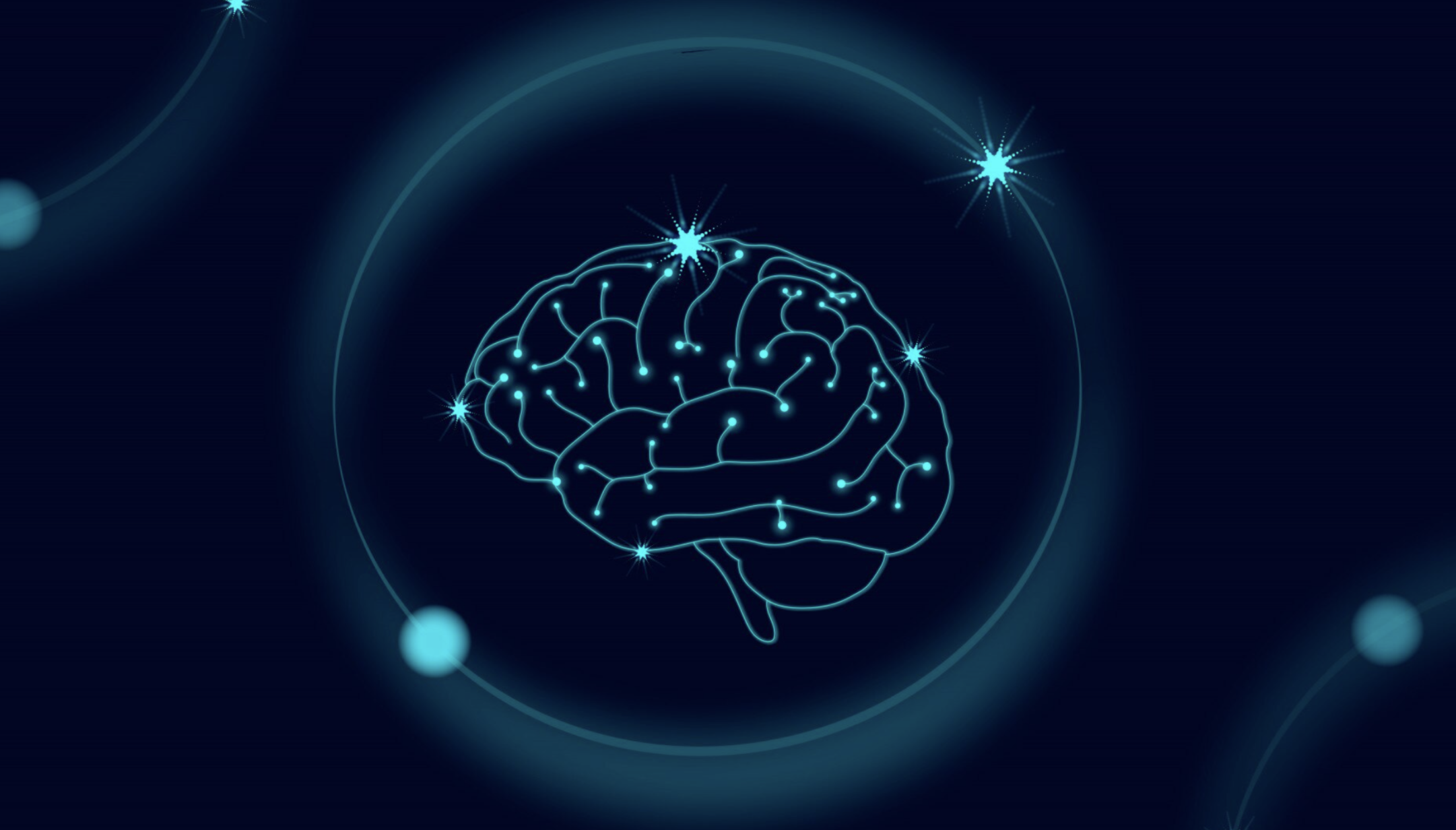 Учёные ТГУ создадут «атлас» мозга