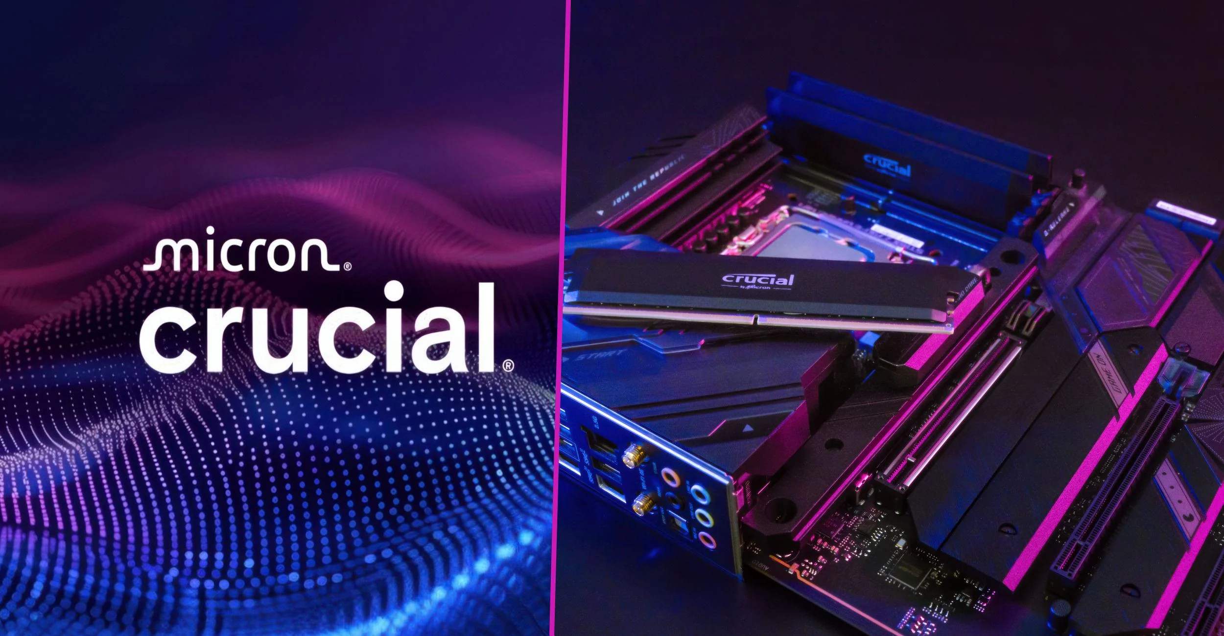 Micron подверглась жесткой критике за закрытие бренда Crucial