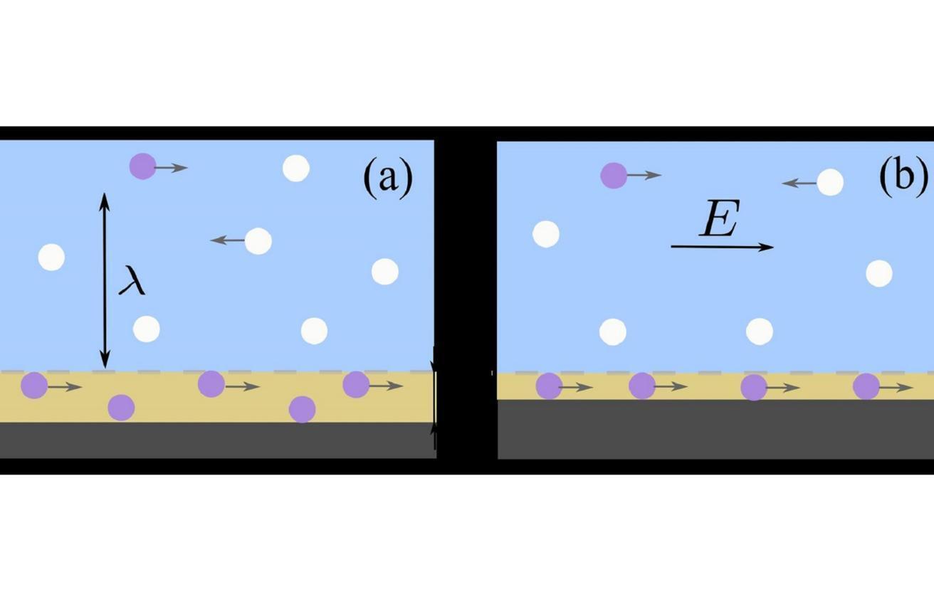 В России нашли способ усовершенствовать «лаборатории на чипе»