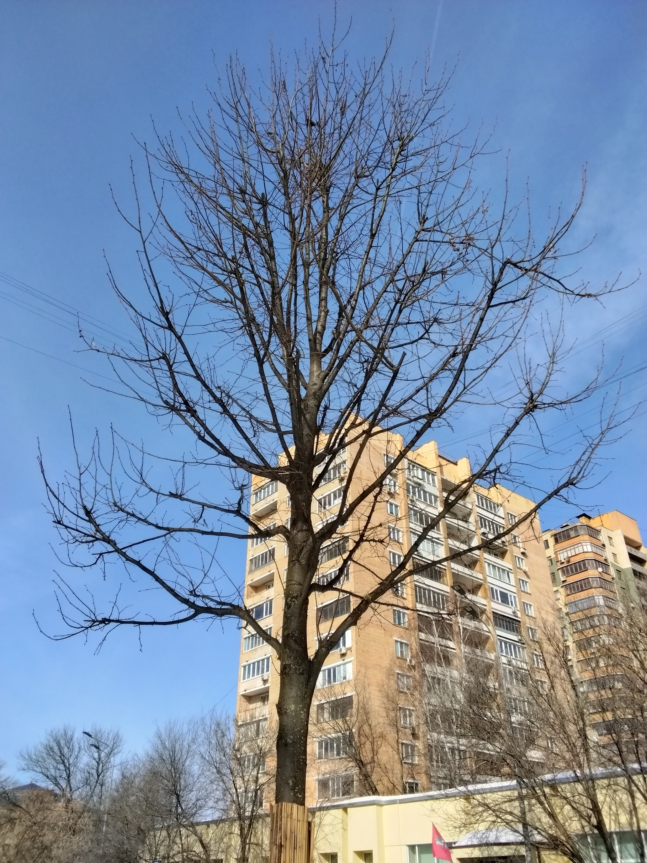 Пример фото 5