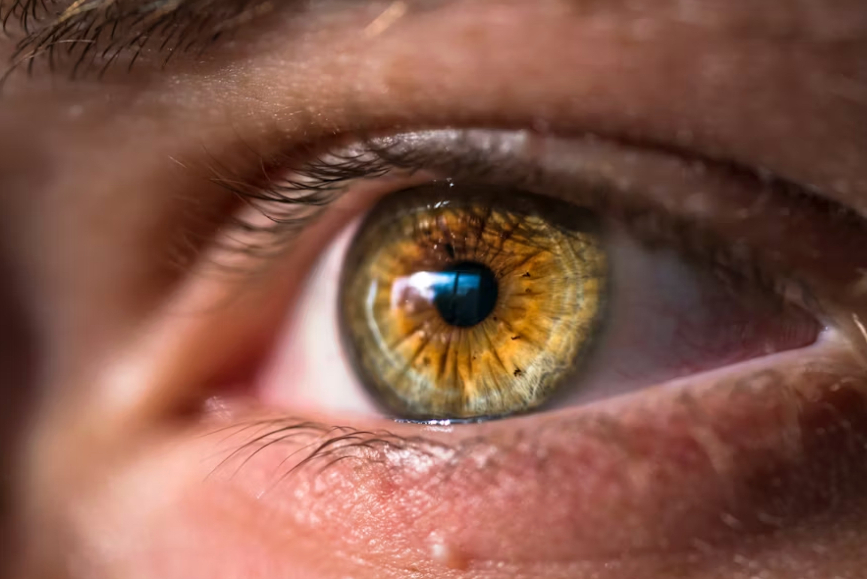 В Новосибирске провели первое в РФ исследование по генетической диагностике глаукомы