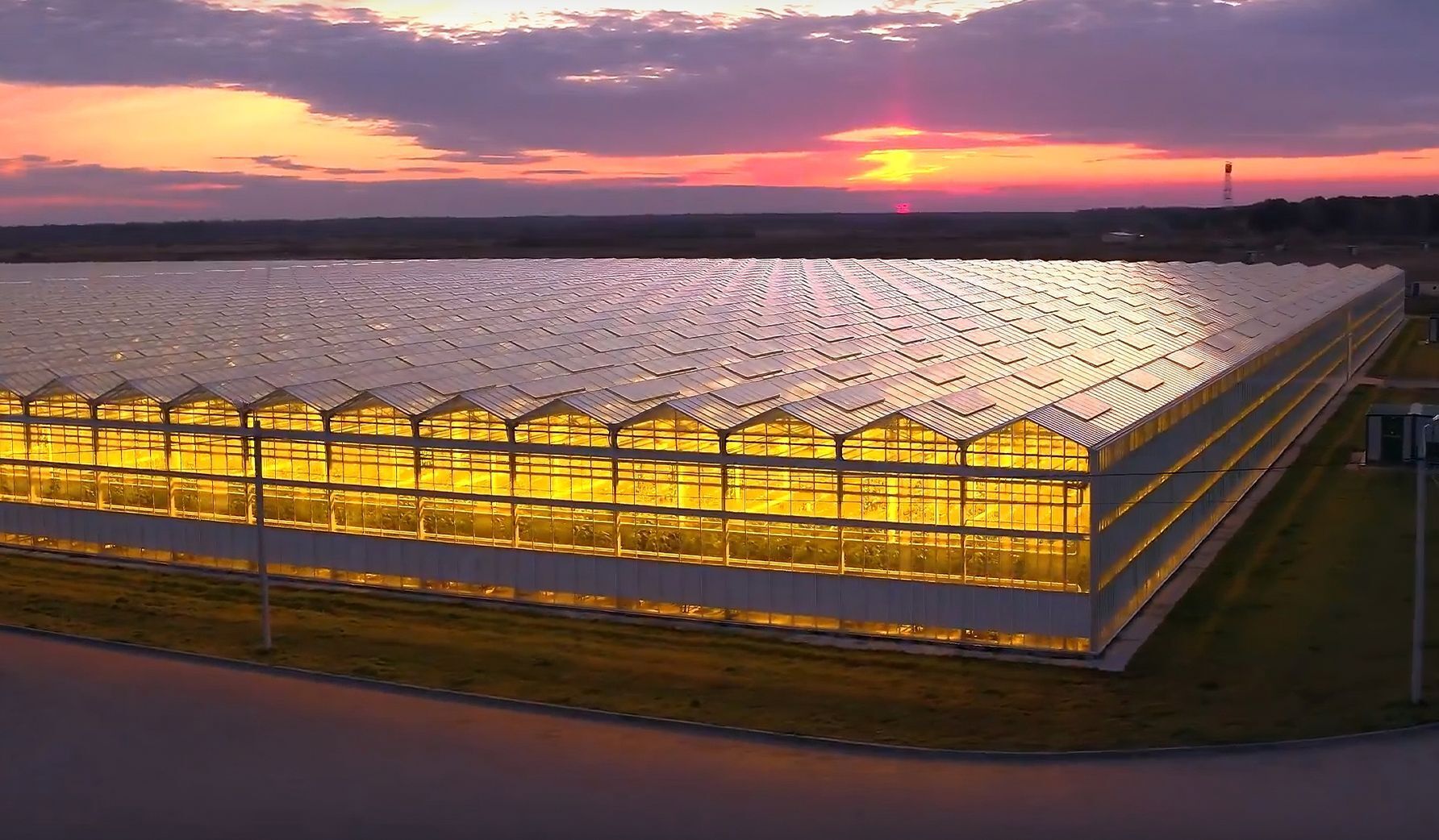 Умные теплицы: высокие технологии для качества, безопасности и вкуса овощей