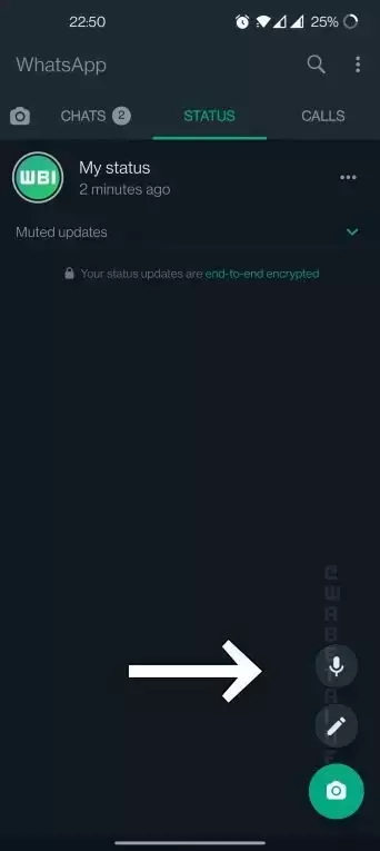 Голосовых сообщений в WhatsApp станет ещё больше — теперь и в статусах