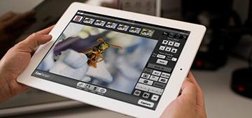 Все камеры с поддержкой Wi-Fi: изучаем и сравниваем