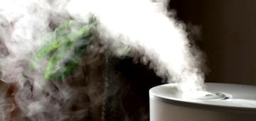 Как выбрать увлажнитель воздуха