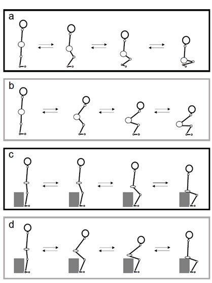 Пользу «самурайского приседа» научно доказали