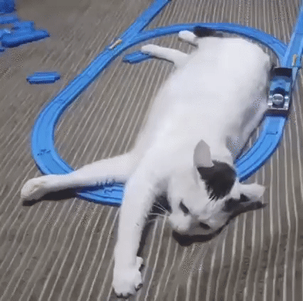 Пожалуйста, не трахайте в комментариях людям мозги своими «а я хожу с 8-летним смартфоном и мне норм» и «да лучше за эти деньги на Алиэкспрессе в ночь на полнолуние с купонами от дядюшки Ляо купить утопленный и восстановленный неоригинальными запчастями старый флагман LG!»