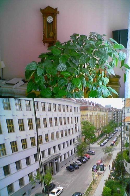 Фотографировала камера терпимо... если вокруг было солнечно