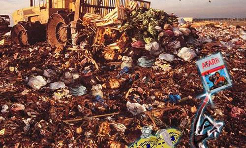 Помойка в Аламогордо